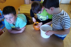 IMG_20221031_135128