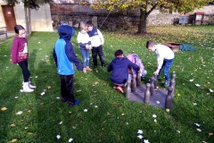 IMG_20221111_141503